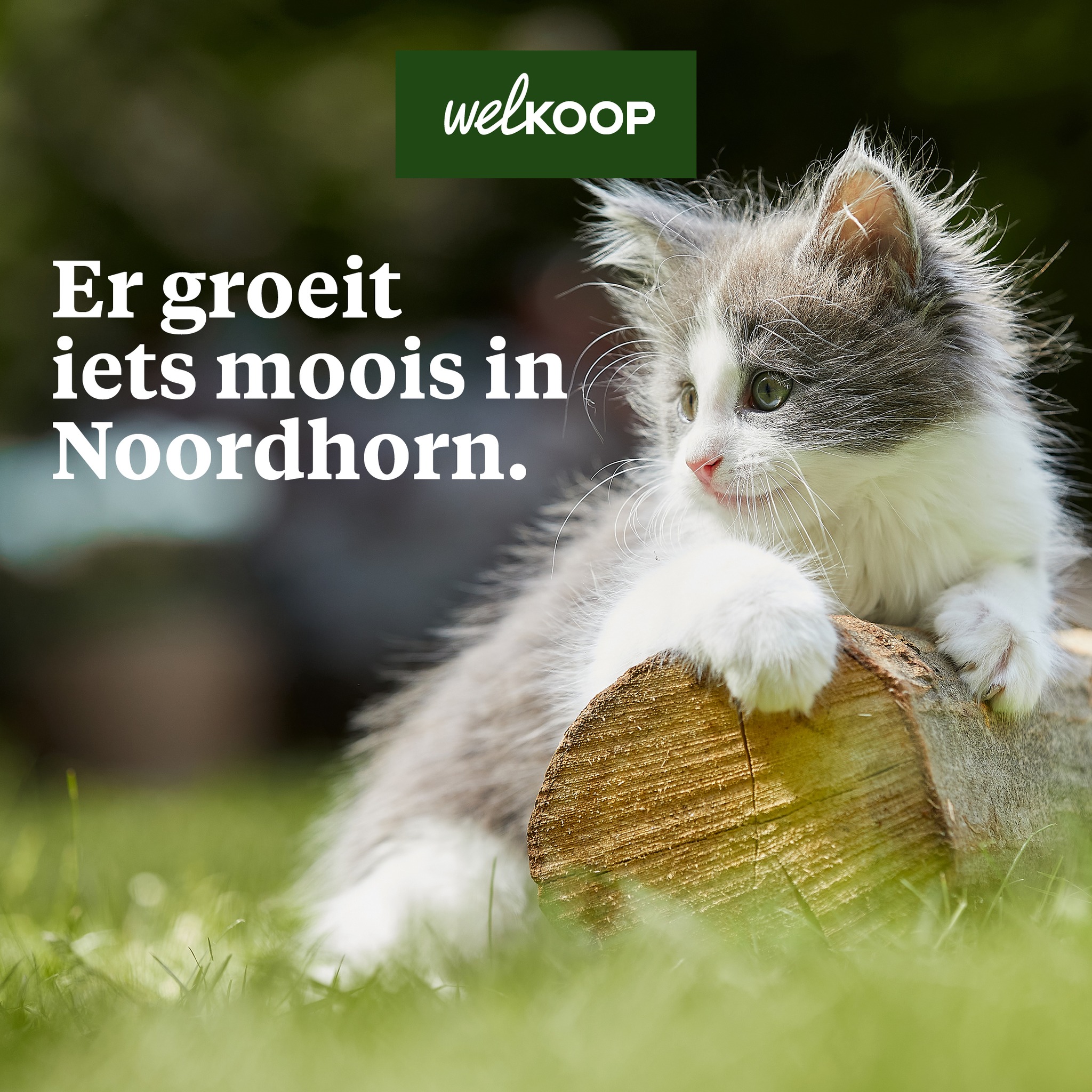 Welkoop Noordhorn Opent Deuren In Maart 2023 - Oozo.nl